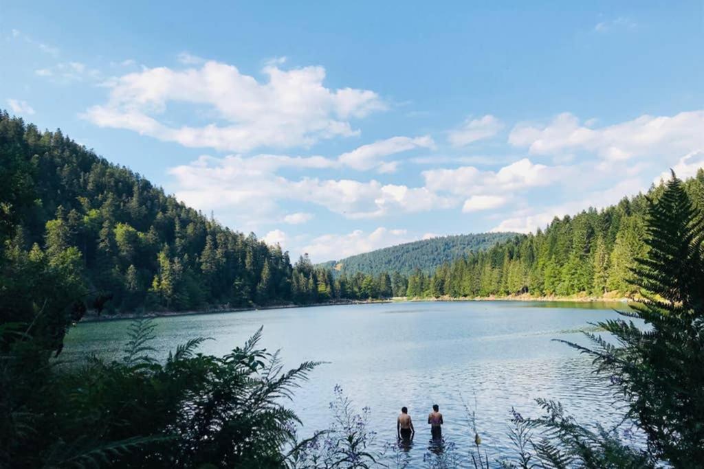 Lullaby House - Large, Full Comfort 5 Star Chalet House In The Vosges Ramonchamp Εξωτερικό φωτογραφία